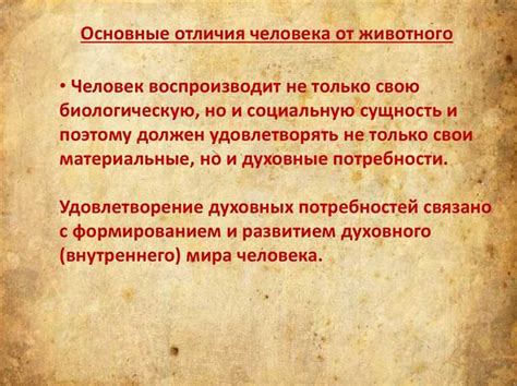 Суждения о человеке: между истиной и предрассудками