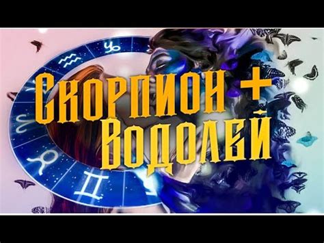 Тайны смертельных приемов Скорпиона: оптимальный момент и комбинации