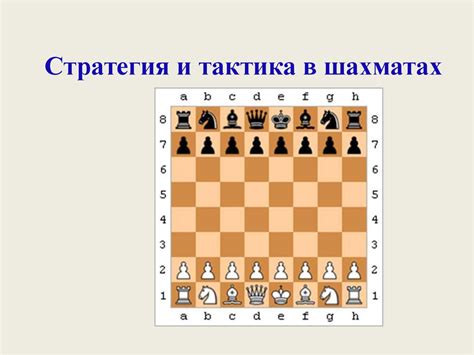 Тактика и стратегия в кхеле: ключевые принципы успешной игры
