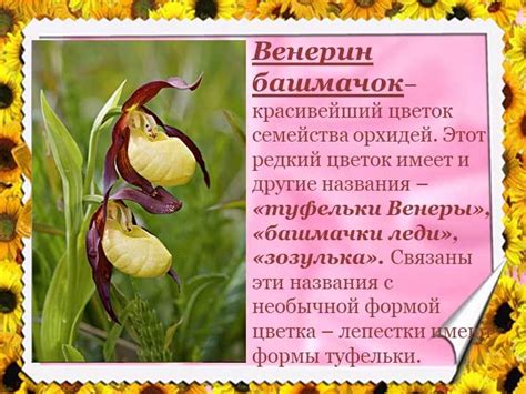 Текущая ситуация и причины включения в Красную книгу