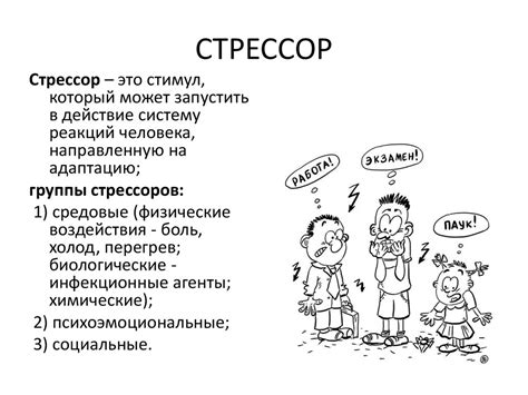 Тема 2: Стресс и адаптация при свободном передвижении шиншиллы