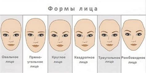 Типы формы лица и их соответствующие типы комплекции
