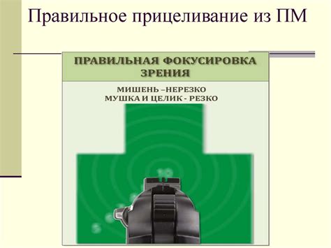 Точность прицеливания во время стрельбы из мушкета: мастерство и техника
