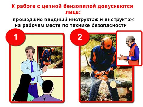 Требования к безопасности при работе с бензопилой в садоводстве