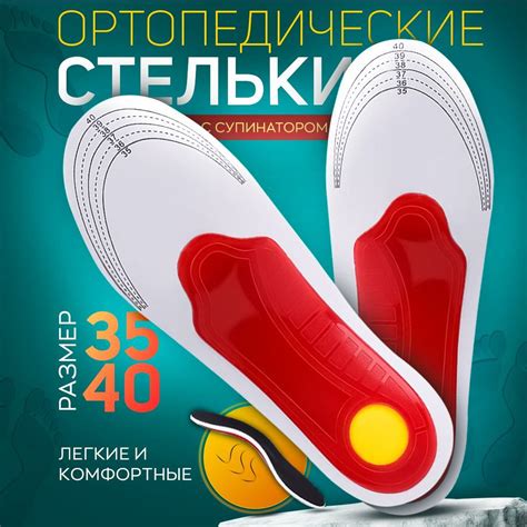 Тренировка и постепенное увеличение периода ношения специальной обуви для питомца