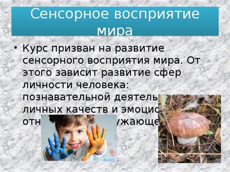 Тренировка и развитие способности восприятия окружающего мира через биолокацию