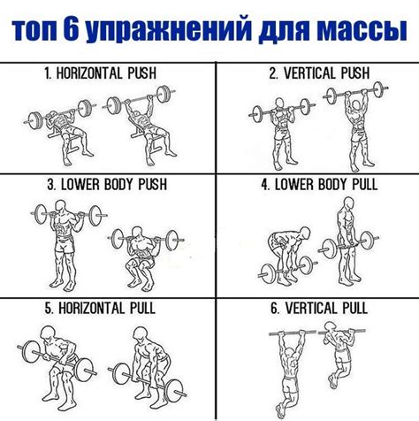 Тренировочные планы для увеличения мышечной массы через использование гимнастических приспособлений