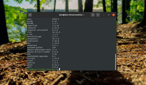 Удаление пакетов с помощью pip на Ubuntu