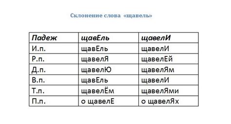 Ударение в слове "щавель": как правильно расставить акцент