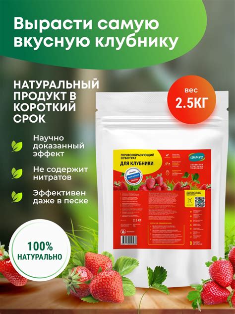 Удобрения для земляники: стимуляция созревания ягод