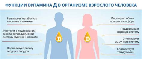 Укрепление иммунной системы и снижение риска заболеваний