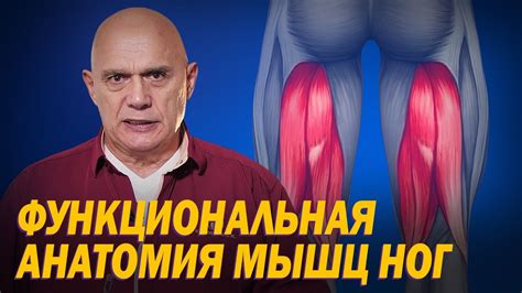 Укрепление мышц нижних конечностей