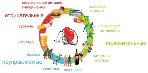 Укрепление сердечно-сосудистой системы и снижение риска развития сердечно-сосудистых заболеваний