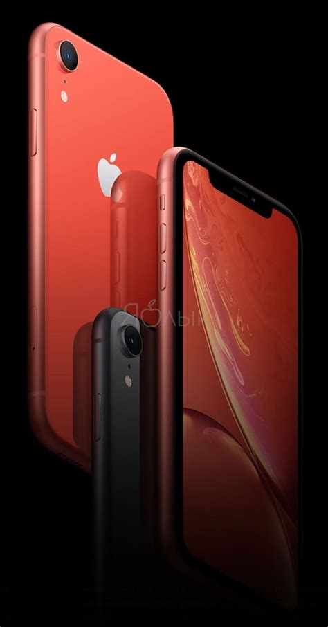 Уникальный раздел: Особенности iPhone XR 256 ГБ: дизайн и цветовые варианты