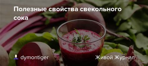 Упаковка и замораживание свекольного сока: эффективные методы сохранения качества