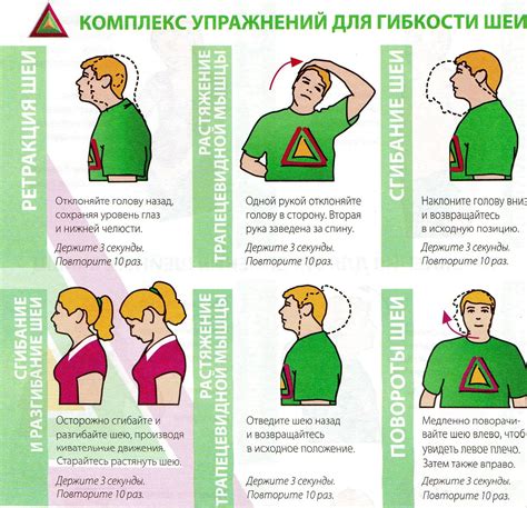 Упражнения для растяжки и укрепления шейных мышц