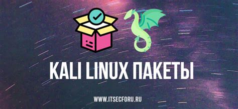 Установка пакетов на Kali Linux с использованием команды apt-get