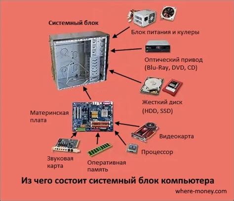 Устройство килауры: состав и функции ключевых компонентов