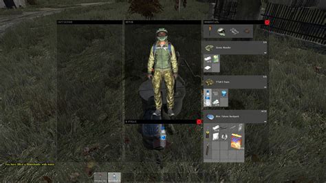 Уход за прирученным питомцем в мире DayZ