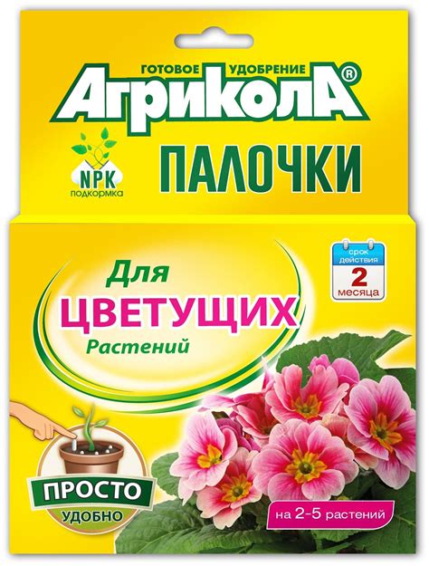 Уход за растениями: важность полива и удобрения