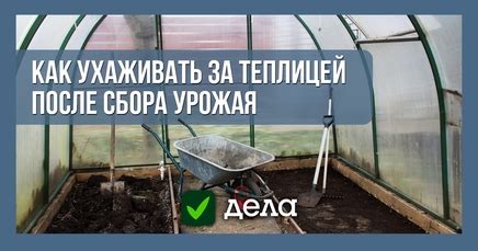 Уход за теплицей, установленной без перекапывания грунта