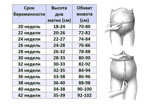 Факторы, влияющие на точность измерений окружности талии при втягивании живота