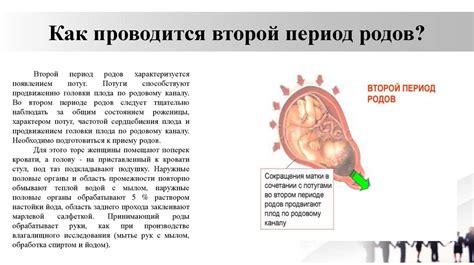 Факторы, уменьшающие вероятность застревания при родах