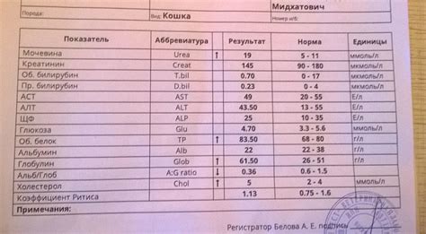 Факторы риска пониженных уровней лейкоцитов у кошки