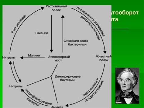 Физика разбивания бокала голосом: научные принципы