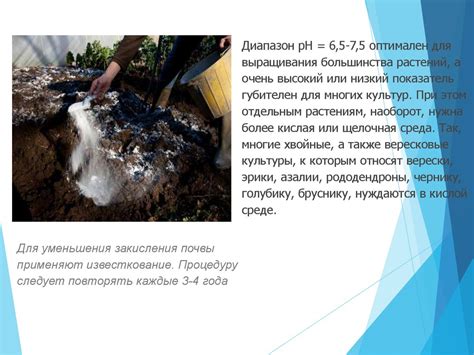 Физико-химический анализ почвы: изучение свойств и состава грунта