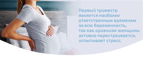 Физиологические аспекты развития малыша во время беременности