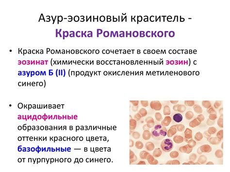 Физиологические взаимосвязи типа крови и окраски глаз: результаты научных исследований