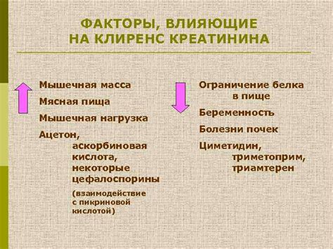 Физиологические факторы, влияющие на уровень креатинина