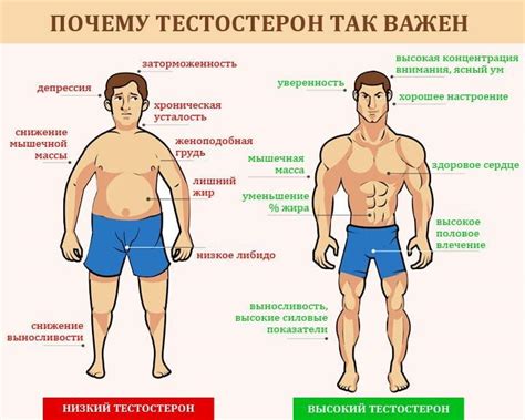 Физические параметры состояния мужчины