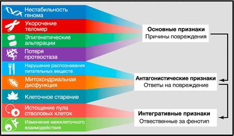 Физические проявления энергетического "истощителя"