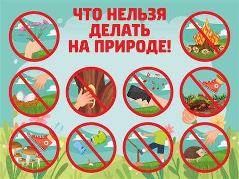 Что заставляет орехи двигаться: изменения в природе, влияющие на рост и распространение