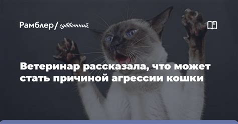 Что может стать причиной неработающей телекарты