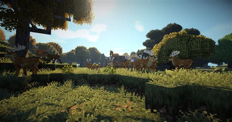 Шаги для создания удобной оранжереи в игре Minecraft с применением модификаций
