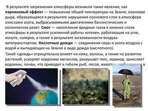 Экологическое значение растений и их влияние на окружающую среду