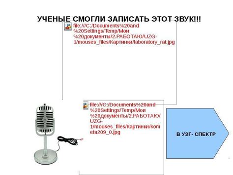Эксперимент с использованием устройства, отпугивающего животных
