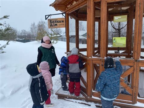 Экспозиции и развлечения для маленьких гостей казанского парка дикой природы