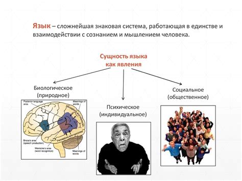 Энтропия в информационных системах: природа и сущность