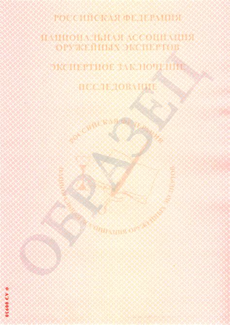 Эффективное использование имеющегося архива экспертных заключений