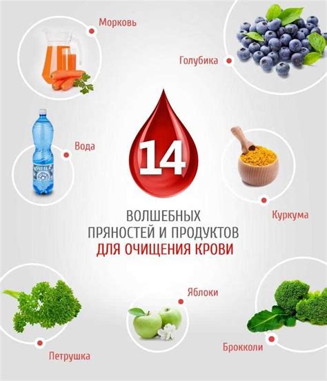 Эффективный способ поддержания здоровья: преимущества полисорба для очищения организма