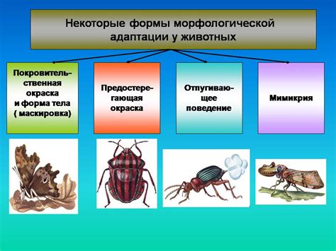  Адаптации ризоидов к экстремальным условиям: выживание в сухом и непригодном окружении 