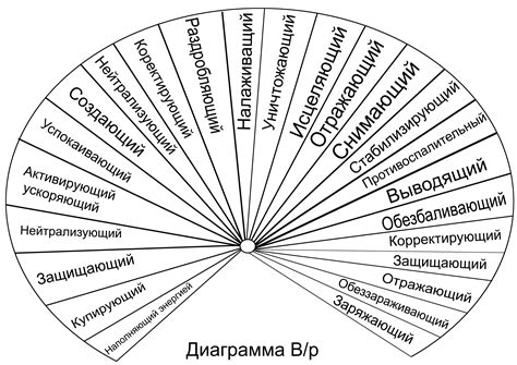  Биолокация: общая информация 