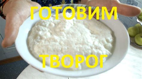  Влияние параметров процесса на структуру и консистенцию домашнего творога
