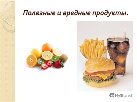  Влияние питания на состояние швенз: которая питания влияют на здоровье швенз
