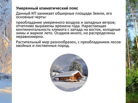  Влияние черемухи на энергетику жилища 