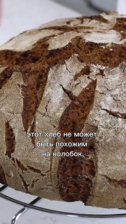  Внешний вид и цвет хлеба: какую информацию он несет при передаче 